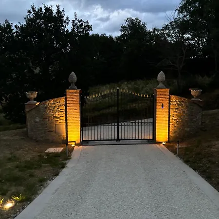 Collina D'oro *