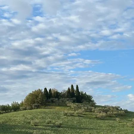 Collina D'oro אתר נופש