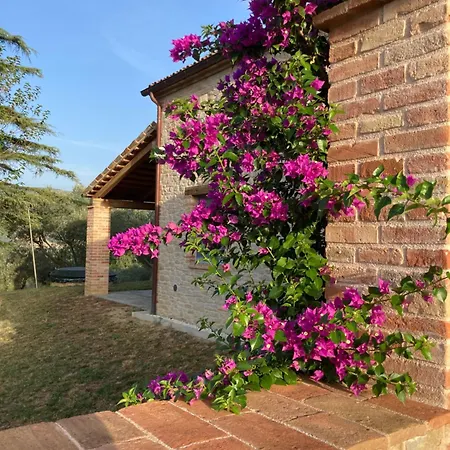 Collina D'oro